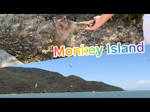 Видео: Северные острова Нячанга/ Остров обезьян/