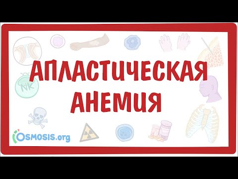 Видео: Апластическая анемия — причины, симптомы, патогенез, диагностика, лечение