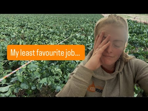 Видео: Лето готово, теперь к зиме готов!