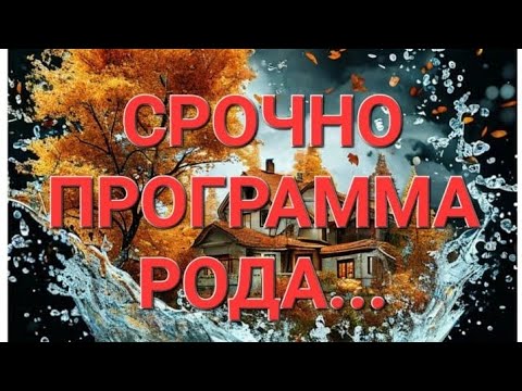 Видео: СРОЧНО!!! ПРОГРАММА РОДА...#события #tarot #мысли #изменения #срочно #новости #программа #род 🔮✨