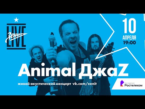 Видео: Живой концерт «Animal ДжаZ» // «Зенит» Live