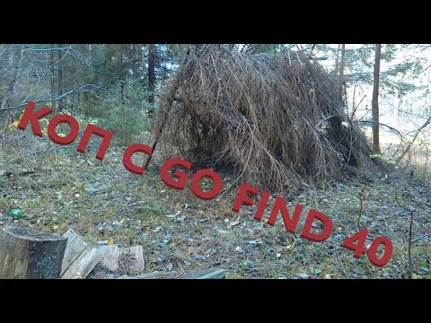 Видео: Коп с Minelab go find 40