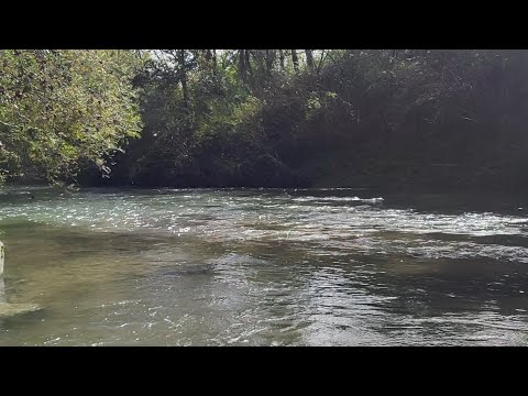 Видео: Полезная ходьба 🚶.