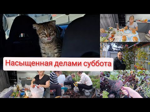 Видео: повезли МАЛЫШКУ в Южник🫠наши ПОКУПКИ 💳ДЕЛА САДОВЫЕ🥔🥕