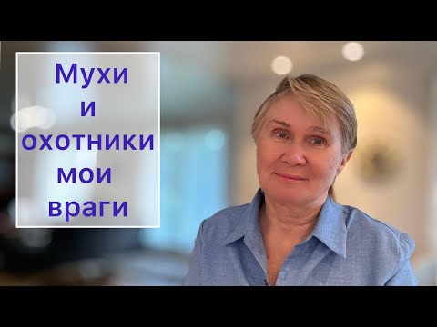 Видео: Мелочи, которые бесят на острове в Норвегии