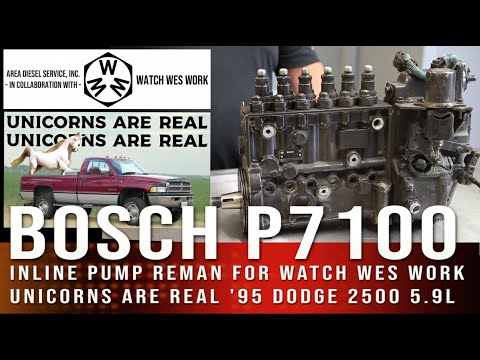 Видео: МЕНЕЕ ЧАСА! Bosch P7100 Rebuild 4 MINT 5.9L 1995 Dodge Ram x @WatchWesWork Единороги реальны!