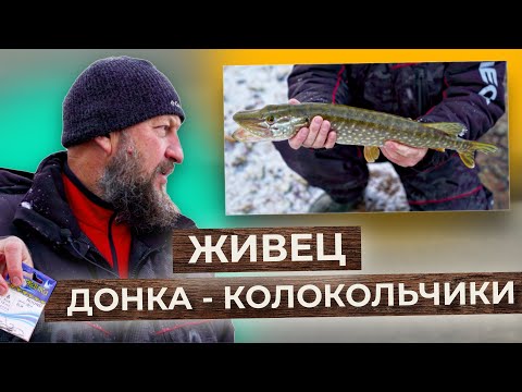 Видео: ЛОВИМ НА ДОНКУ! Щука на живца.