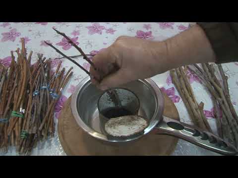 Видео: Як якісно зберегти живці до весни