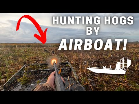 Видео: Охота на инвазивных диких кабанов с аэроглиссера!