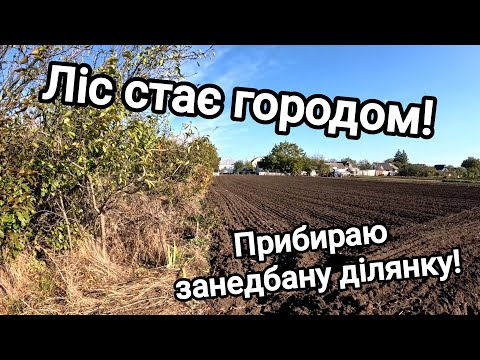 Видео: Купив хату в селі! Ліс починає перетворюватися на город! Огляд та відновлення занедбаної ділянки!