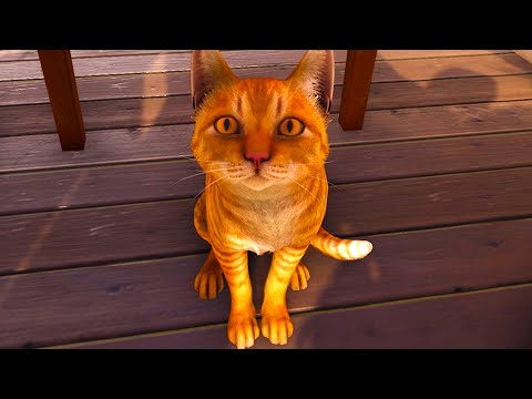 Видео: Симулятор Кошки Copycat #3 Бездомная кошка оказалась на улице на пурумчата
