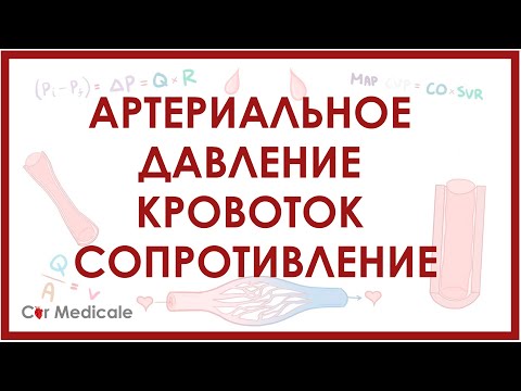 Видео: Артериальное давление, кровоток и сопротивление - физиология сердечно-сосудистой системы