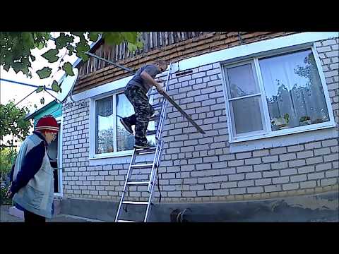 Видео: НА ЧЕРДАКЕ ЗАВЕЛАСЬ КУНИЦА