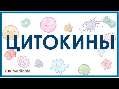 Видео: Цитокины: интерлейкины, интерфероны, факторы роста, факторы некроза опухоли - кратко | Иммунология