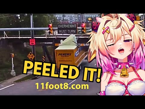 Видео: Чат СОЖАЛЕЕТ Показ Rosiebellmoo, мост длиной 11 футов и 8 дюймов