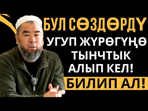 Видео: БУЛ СОЗДОРДУ УГУП ЖУРОГУНО ТЫНЧТЫК АЛЫП КЕЛ! ЭКИ НЕРСЕ ҮЧҮН  АТААНДАШКАН ЖАКШЫ БОЛОТ!