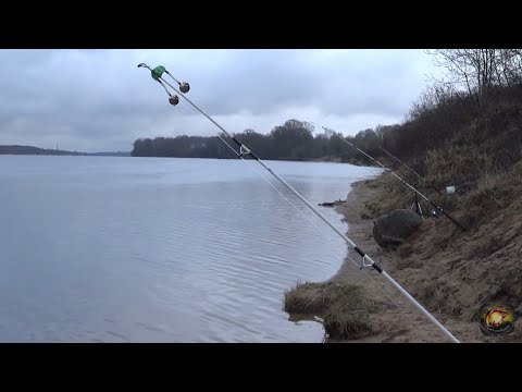 Видео: Ловля налима в конце апреля продолжается, рыбалка на донки, насадка тюлька и копаный червь.