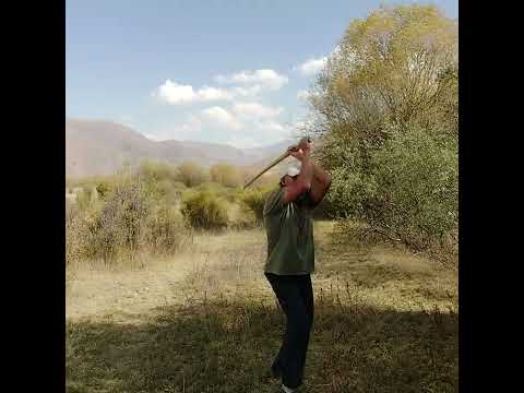 Видео: 14 сентября 2025 г.