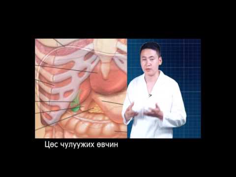 Видео: Цөсний бүтэц үйл ажиллагаа цөс чулуужих өвчин ( Ай Ёо Доктор зөвлөж байна )