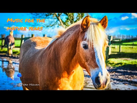 Видео: красивая музыка для людей зрелых лет - красивых и счастливых