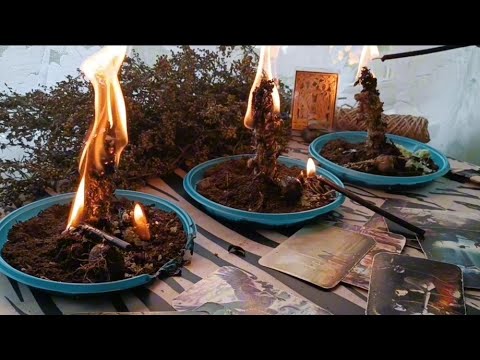 Видео: Ритуал - от ЗАРАЗЫ (лярвы, подселы и тд!)