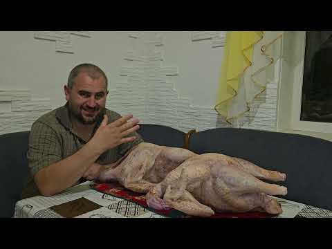 Видео: Вес самых слабых индюков! Я удивлён 🤔можно ли заработать на индюках?