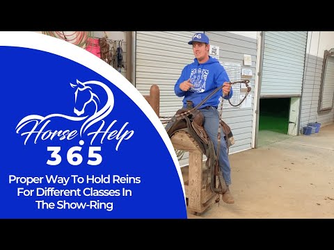 Видео: Как правильно держать поводья для разных классов лошадей на ринге | Помощь с лошадью — Майкл Гаскон