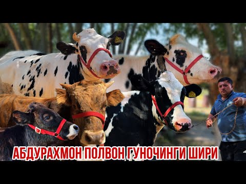 Видео: Абдураҳмон полвон акция шуд 10 сентября 2025 г.