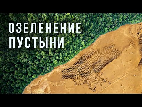 Видео: Как Саудовская Аравия Борется с Опустыниванием