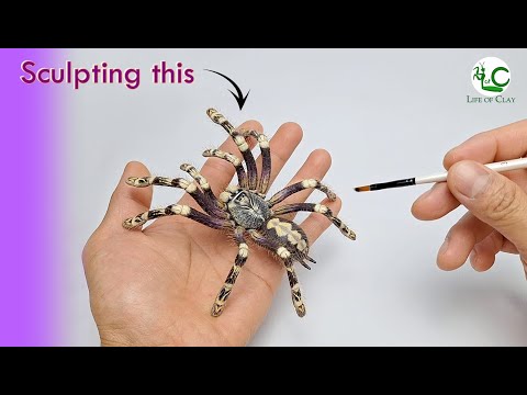 Видео: Скульптурирование декоративного тарантула цвета слоновой кости в глиняной гальке Poecilotheria su...