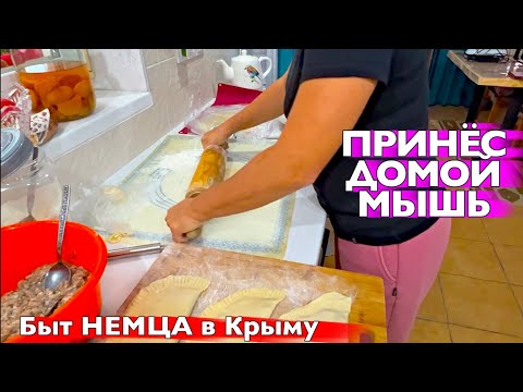 Видео: ЖАРИМ ЧЕБУРЕКИ / ПОЛ ГОТОВ как получилось / СЕМЯ ЛЬНА