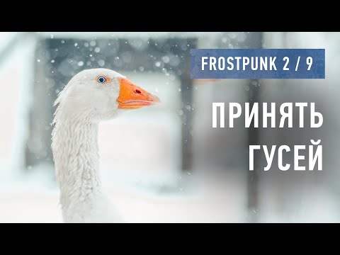 Видео: Вспоминаем Frostpunk 2 (9) / Принять гусей