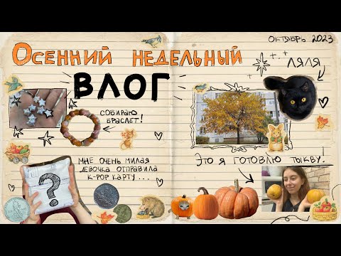 Видео: осенний недельный влог, в котором я много болтаю и показываю всякое