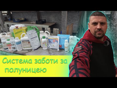 Видео: Ефективні обробки полуниці  Шлях до здорових рослин та смачних ягід