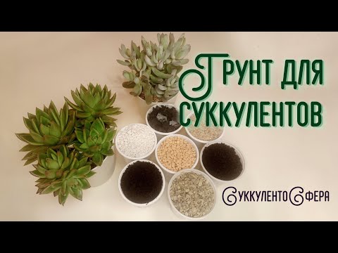 Видео: Грунт для суккулентов