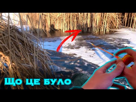 Видео: Рибалив на ставку... Але те, що вискочило з очерету - ШОК!