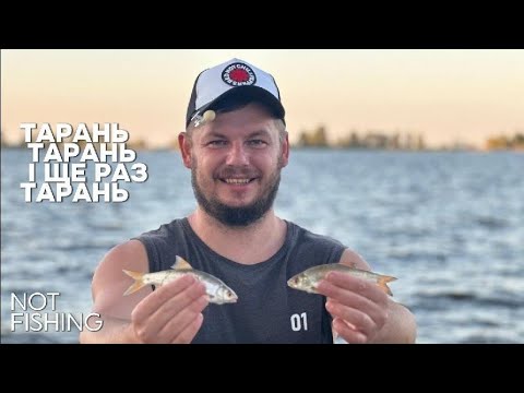 Видео: ТАРАНЬ ТАРАНЬ І ЩЕ РАЗ ТАРАНЬ