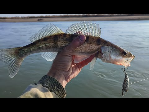 Видео: Такого клёва я давно не видел 👍🔥. Часть 2
