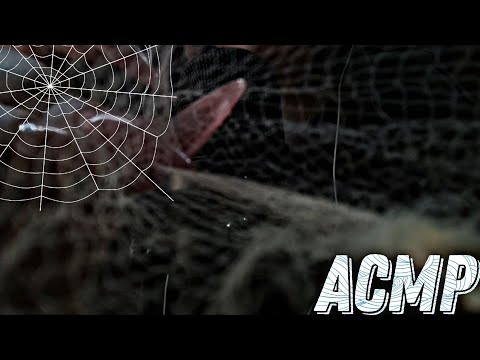Видео: АСМР // УБЕРУ С ТЕБЯ ПАУТИНУ 🕸 // ASMR