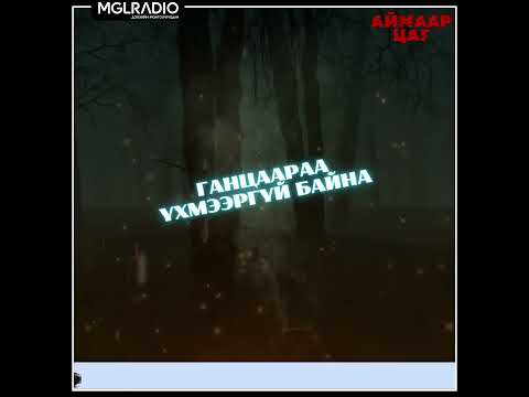 Видео: Аймаар цаг | 2025-04-01 | Дэлхийн хамгийн хөгшин цуврал алуурчин, Ганцаараа үхмээргүй байна