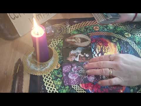 Видео: Разговоры за вашей спиной 👅😛🤷💥