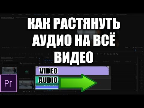 Видео: Как короткое аудио растянуть на всё видео Premiere Pro