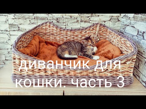 Видео: Диванчик (лежанка) для кошки из бумажной лозы. Часть 3