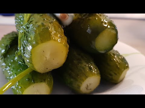 Видео: Начинаю огуречный бизнес!!! решила продать излишки..и тут Остапа понесло!!!