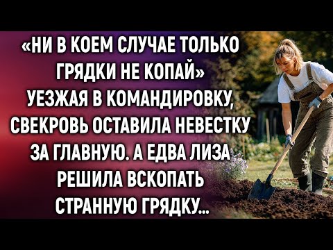 Видео: Уезжая в командировку, свекровь оставила невестку за главную. А едва Лиза решила вскопать грядку…