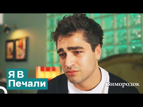 Видео: Ферит В Когтях Одиночества | Зимородок