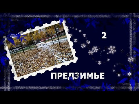 Видео: Предзимье.  Брошь по ошибке. #вязание #рукоделие #handmade