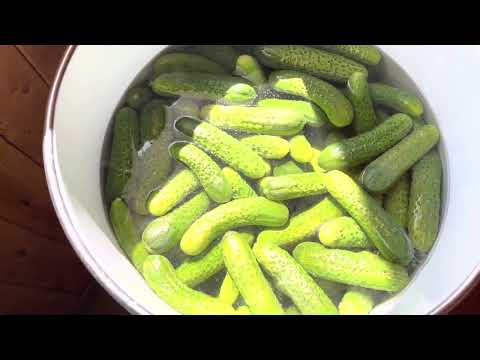 Видео: Простой способ маринования огурцов .Проверено годами.