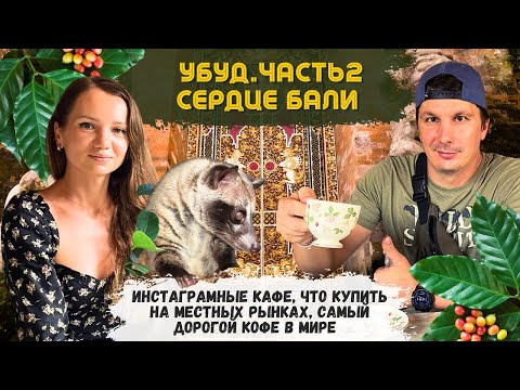 Видео: Убуд - Сердце Бали. Такого нет В Таиланде! Балийские Рынки. Цены в Кафе. Нашли Доступное Жилье