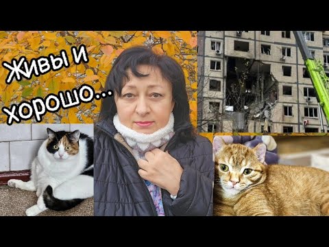 Видео: 💥МОЙ БЕДНЫЙ ГОРОД 😥МЫ живы ... и хорошо...8.11.25